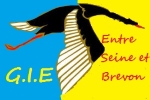 GIE